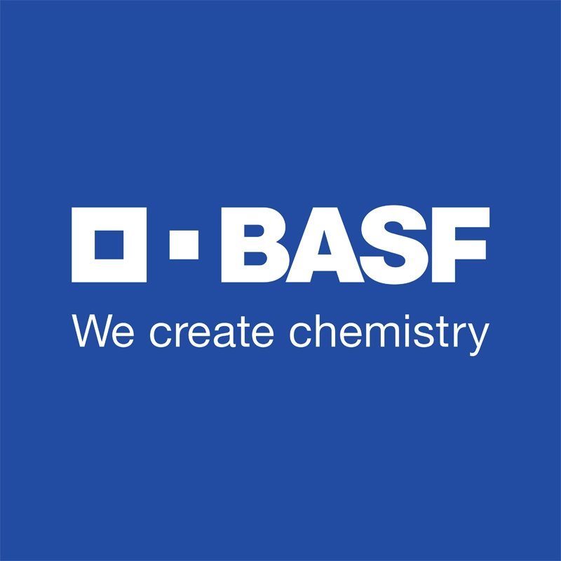 Basf Pigmentos